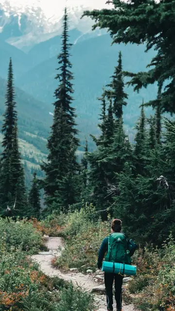 Campaigns placement — A lone hiker treks through a forest trail with mountains in view.